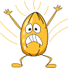 Kernel Panic!